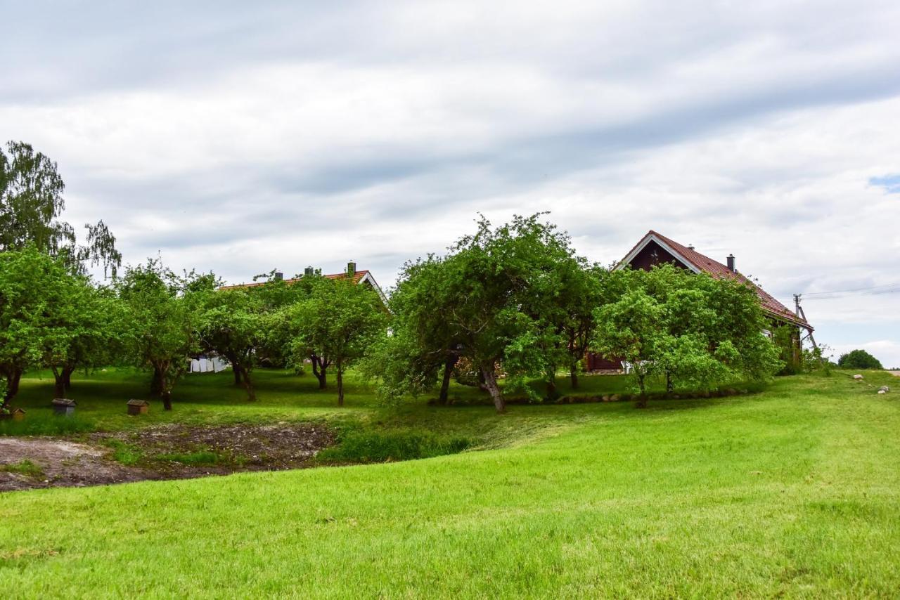 Sunny Beaver B&B Trakai Exteriér fotografie