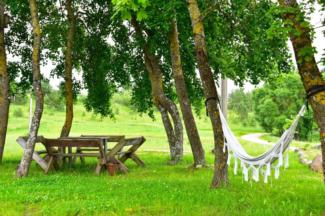 Sunny Beaver B&B Trakai Exteriér fotografie