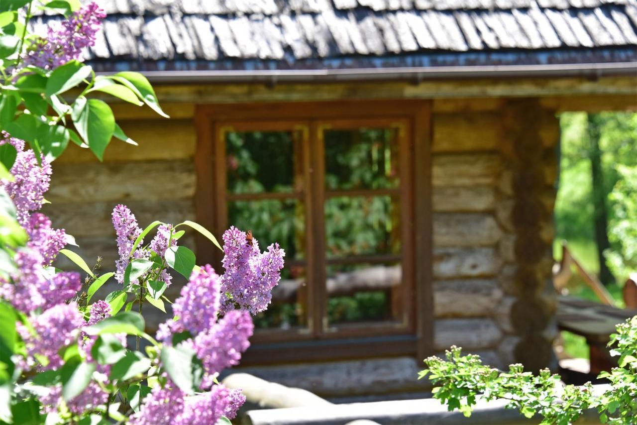 Sunny Beaver B&B Trakai Exteriér fotografie